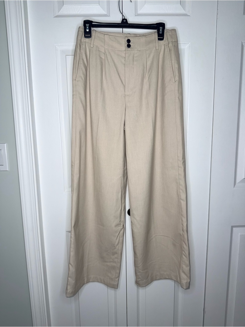 Madewell Pleated Wide Leg Pants Size 4 Beige Cream Cinch Back career Trouser